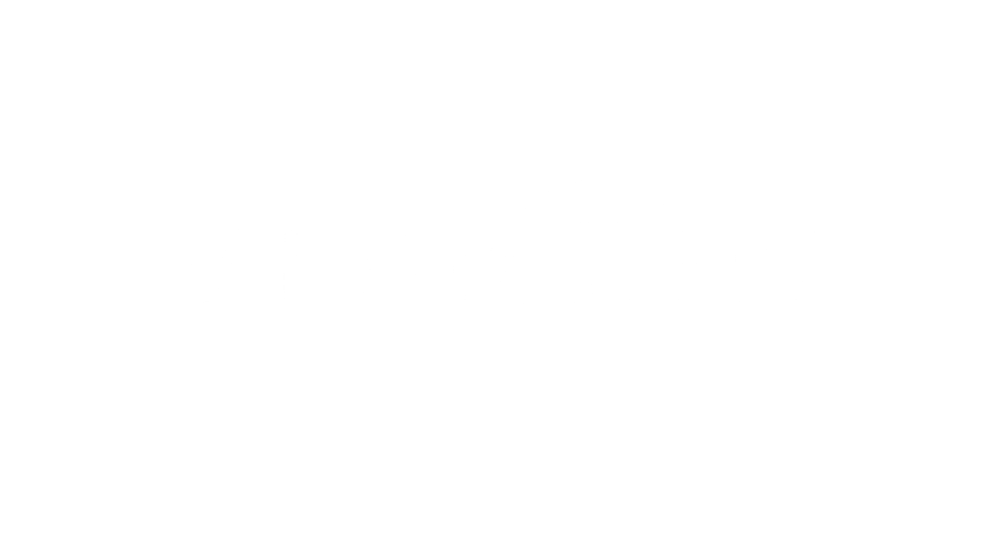 Vision